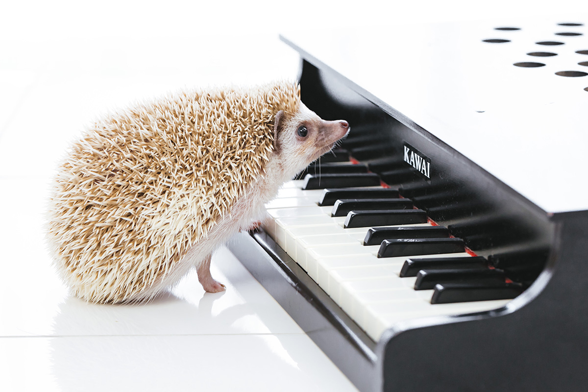 新しい取り組みをスタートしました